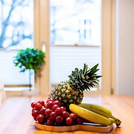 Apartment Sanhaus Apartments - Villa Haffnera