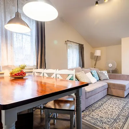 Sanhaus Apartments - Villa Haffnera *