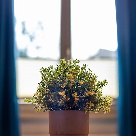 Sanhaus Apartments - Villa Haffnera Apartment